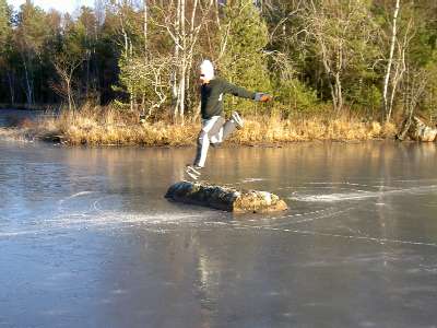 Fin flygning